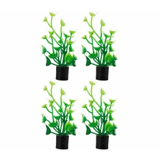 Hobby Cardamine mini 4x