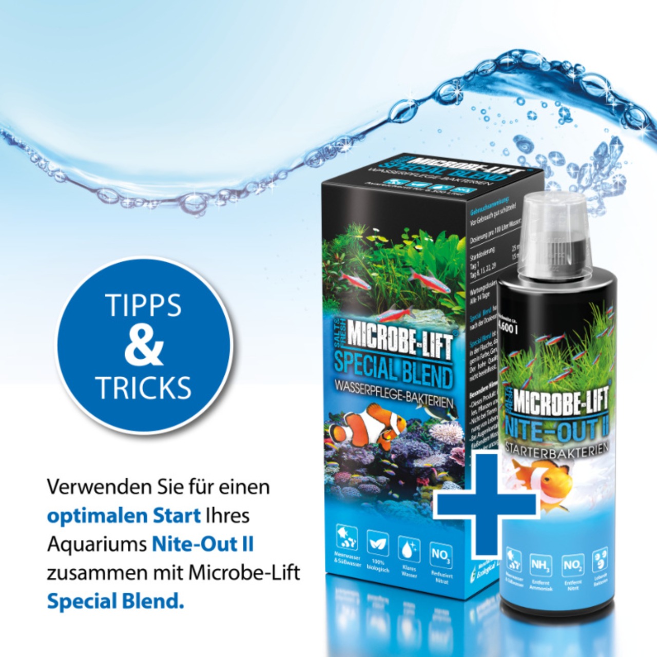 Arka Nite-Out II - Starterbakterien 5 L