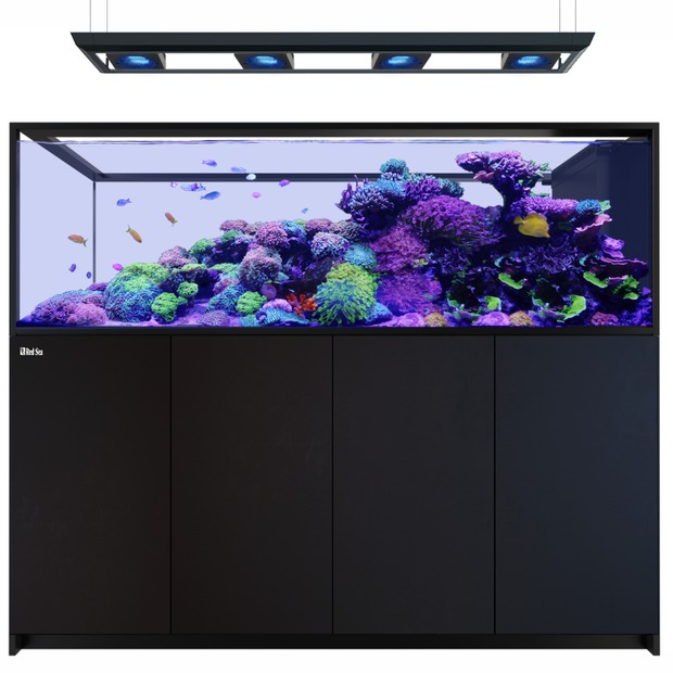 Red Sea REEFER MAX Peninsula S-950 G3