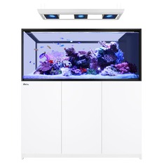 Red Sea REEFER MAX Peninsula S-700 G3