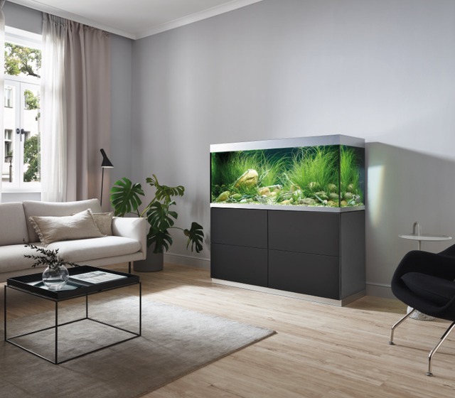 Rundum aesthetisch