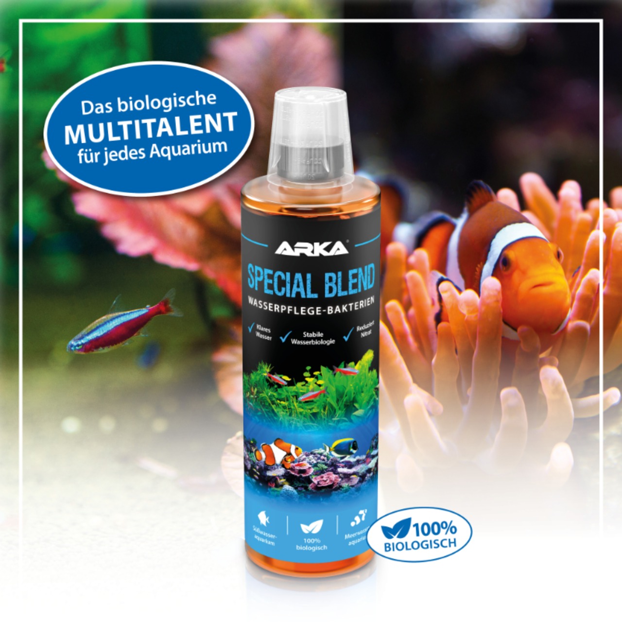Arka Special Blend Pond