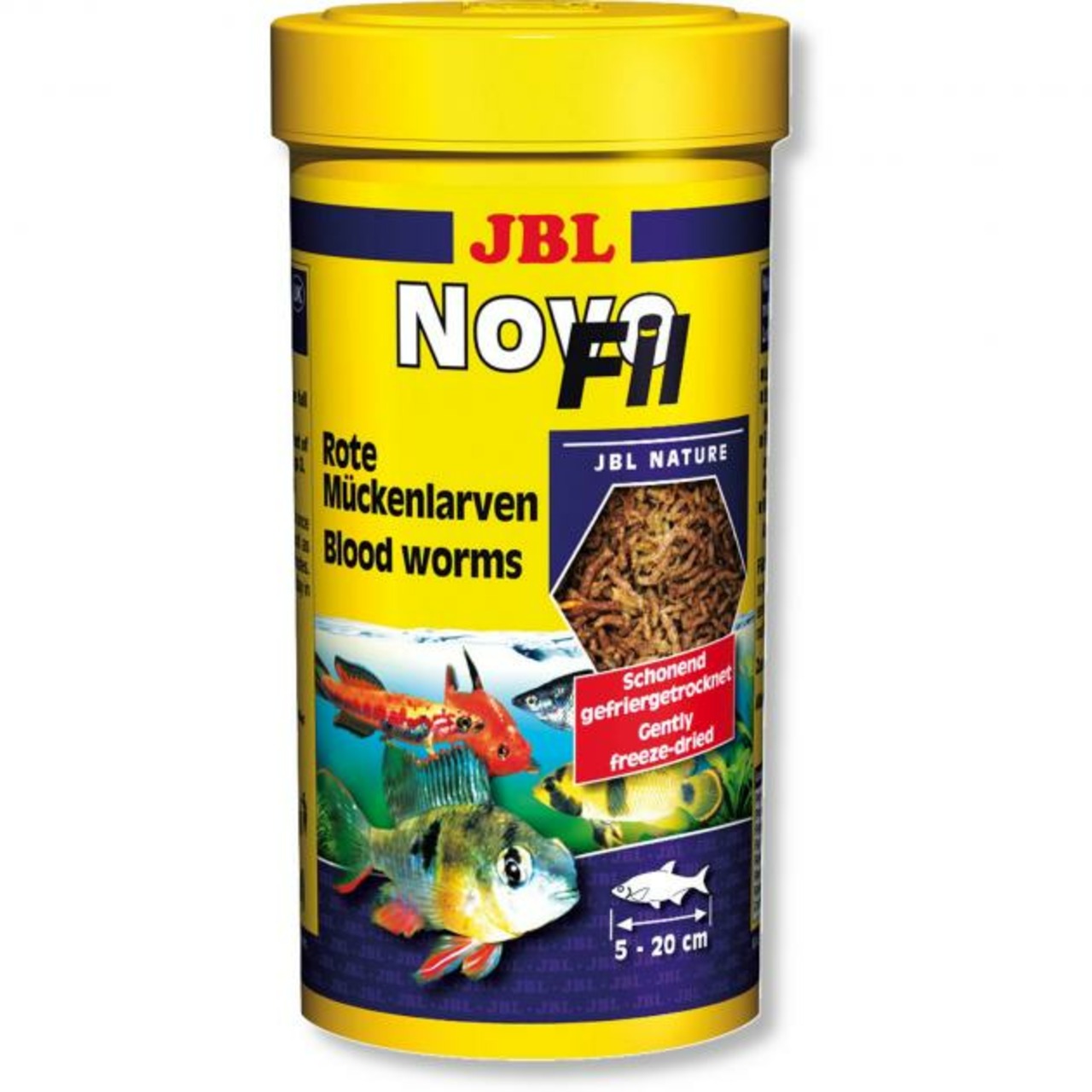 JBL ProTemp S 150 bis 200l
