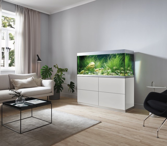 Rundum aesthetisch