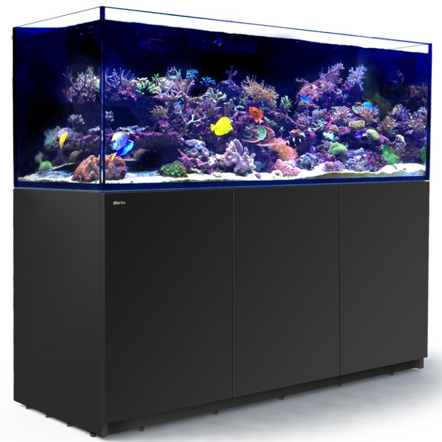 Red Sea Reefer 750 G3 schwarz
