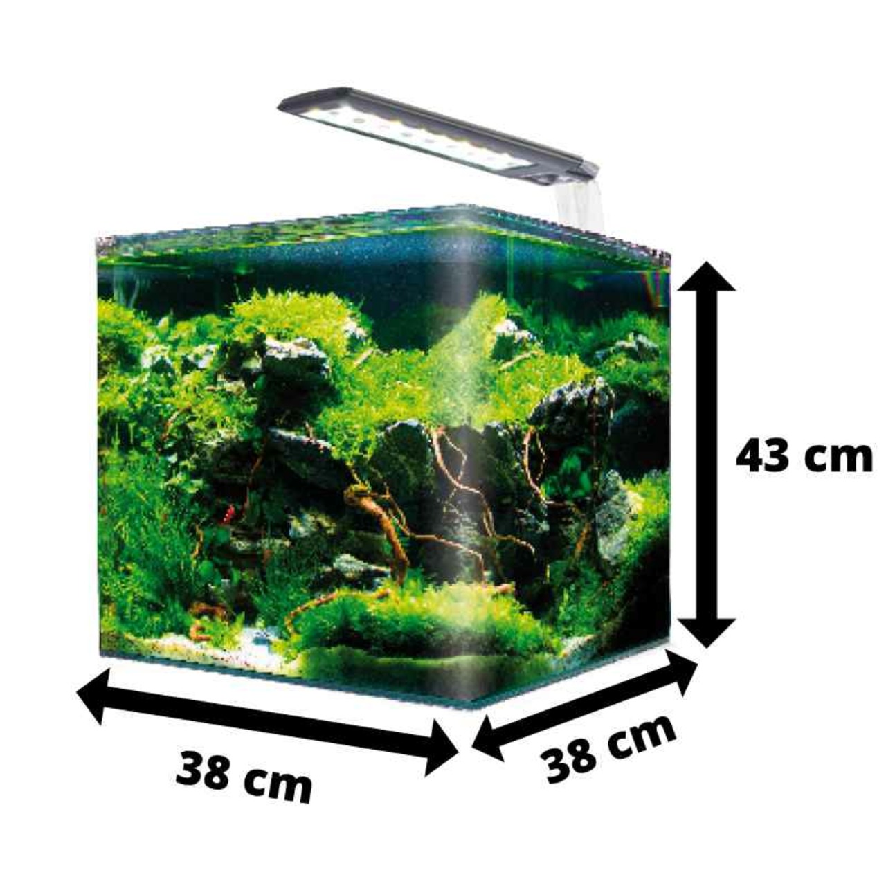 Amtra Nano Aquarium
