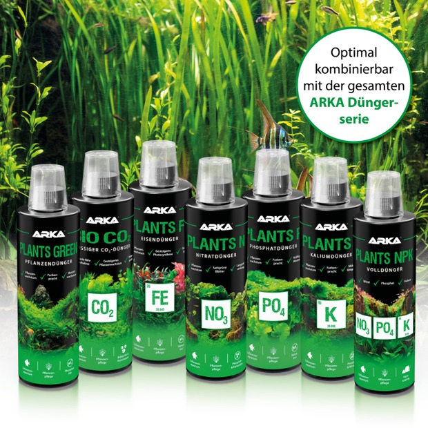 Arka Plants K