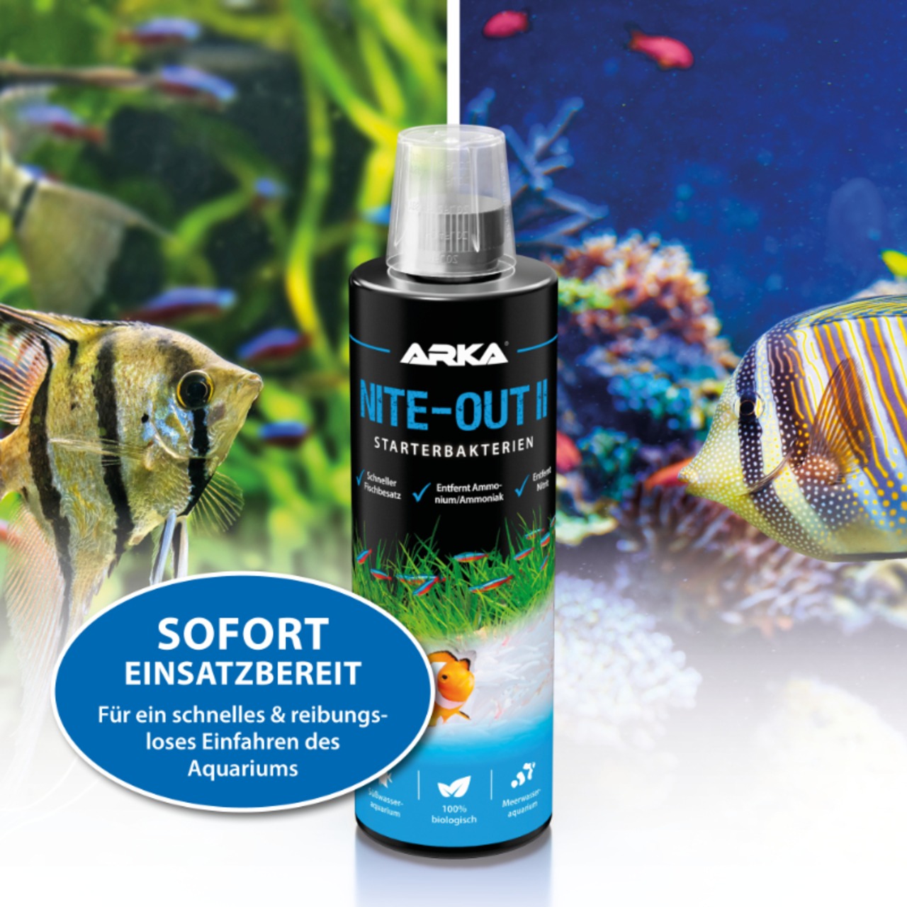 Arka Nite-Out II 473ml