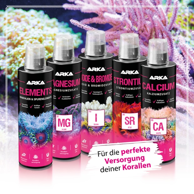 Arka Magnesium 236ml