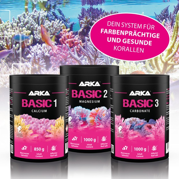 Arka Reef Basic 2 2000 g