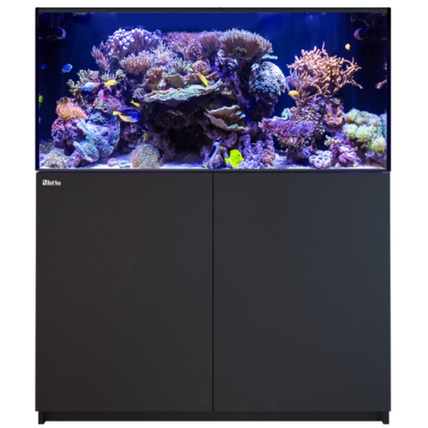 Red Sea Reefer 425 G3 schwarz