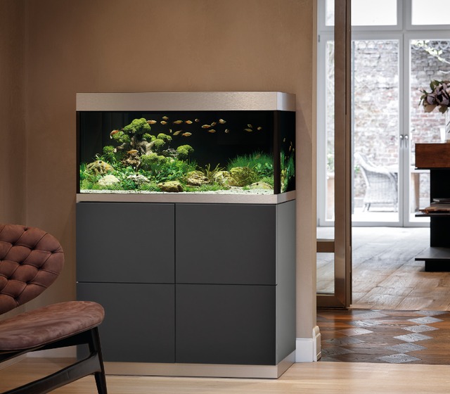 Rundum aesthetisch