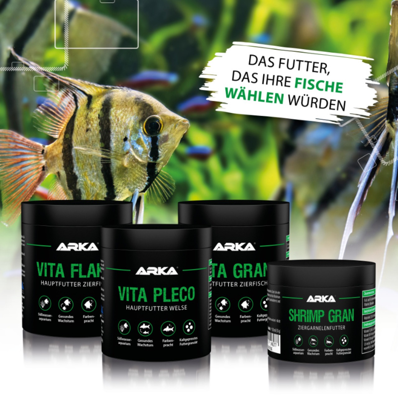 ARKA Vita Pleco Welsfutter 250 ml