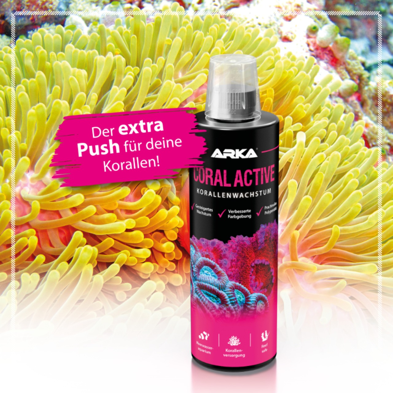 Arka Coral Activ Korallenwachstum 236ml