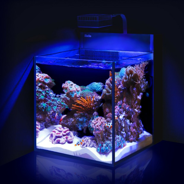 Red Sea MAX NANO Peninsula G2