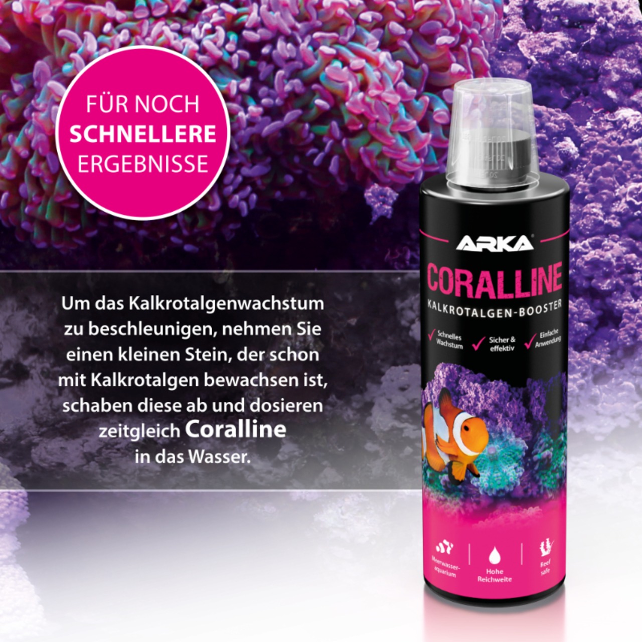 Arka Coralline Kalkrotalgen + 236ml