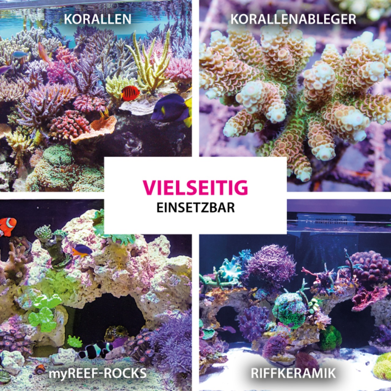 Arka Coralscaper - flüssig 50g