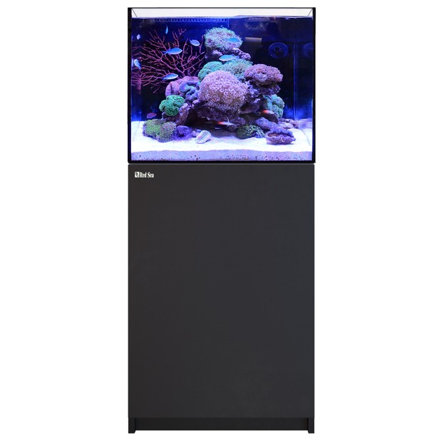 Red Sea Reefer 170 G3 schwarz