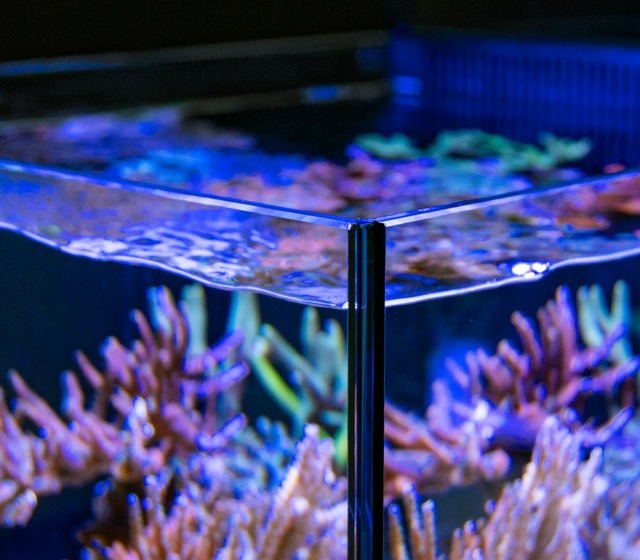ultraklares glas