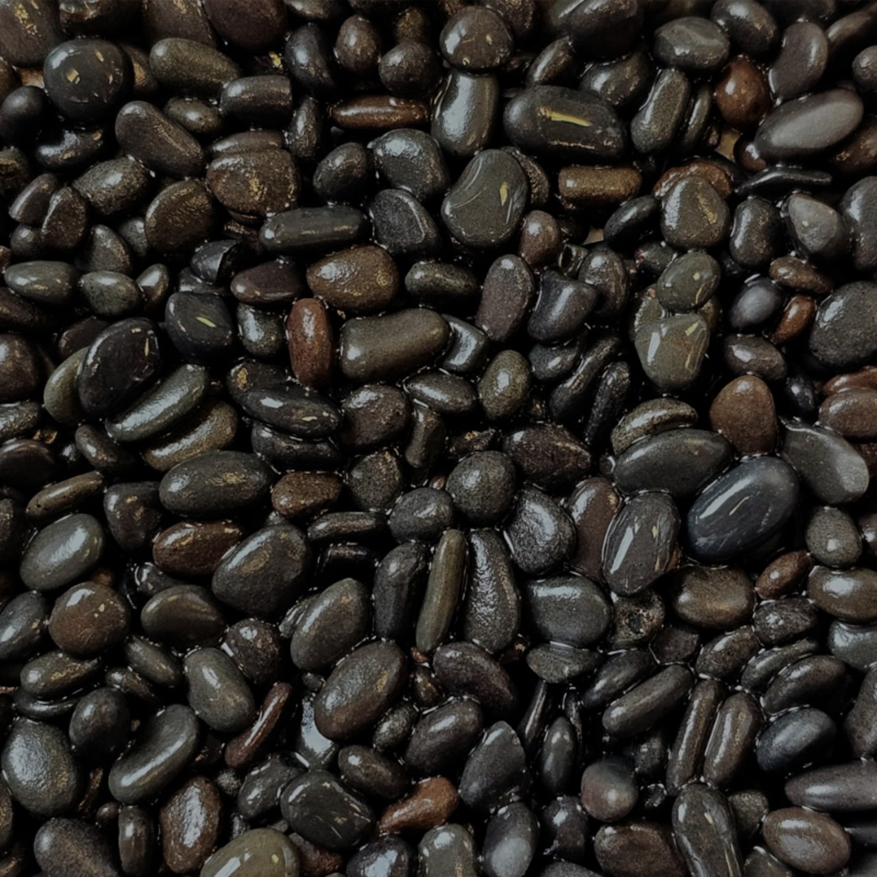 Dupla Ground nature BlackPebbles mini