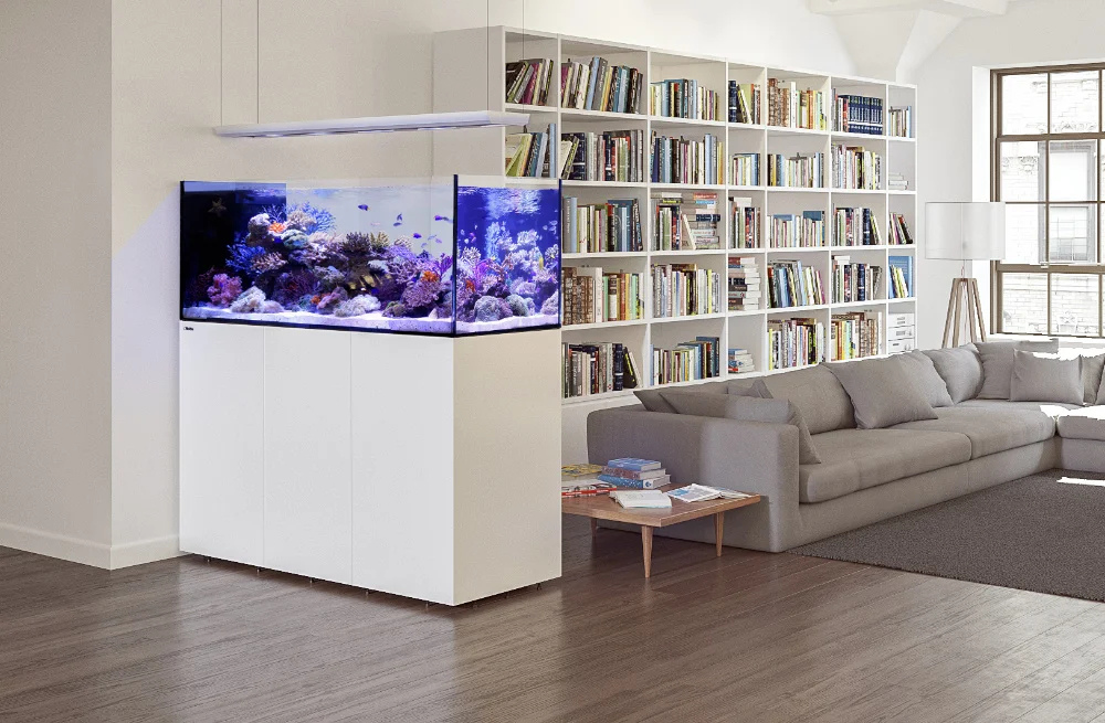 Das REEFER Peninsula G2+ als sch&ouml;ner Raumteiler