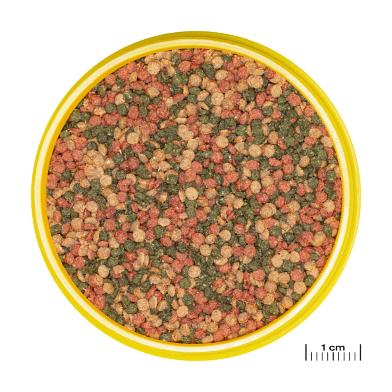 JBL ProNovo Bel Grano CLICK