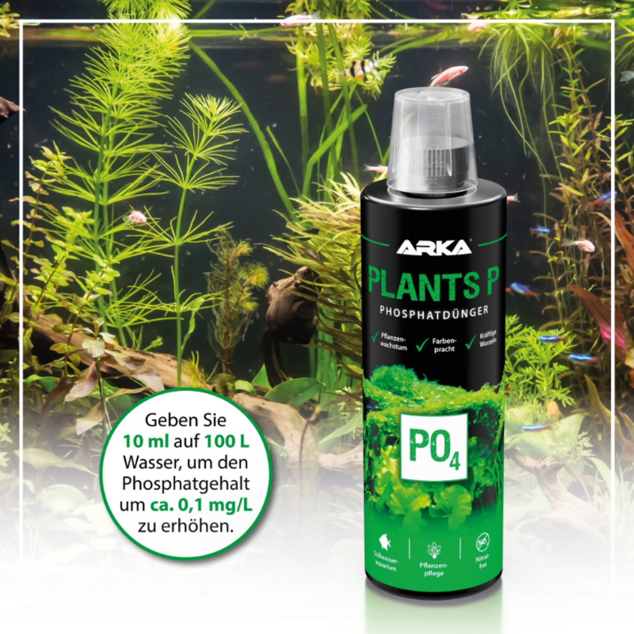 Arka Plants P